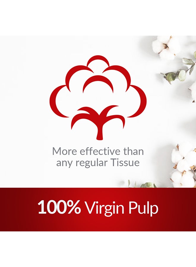 كول اند كول عبوة من 5 مناديل وجه بريز 150 منديلًا - Image 4