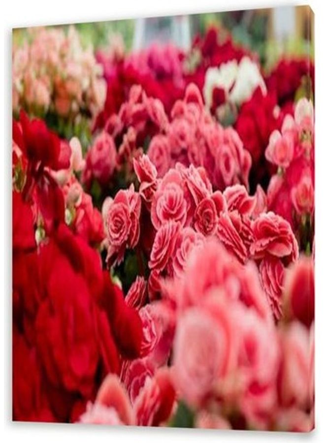 Roses Theme Canvas Wall Art Multicolour M - Image 1