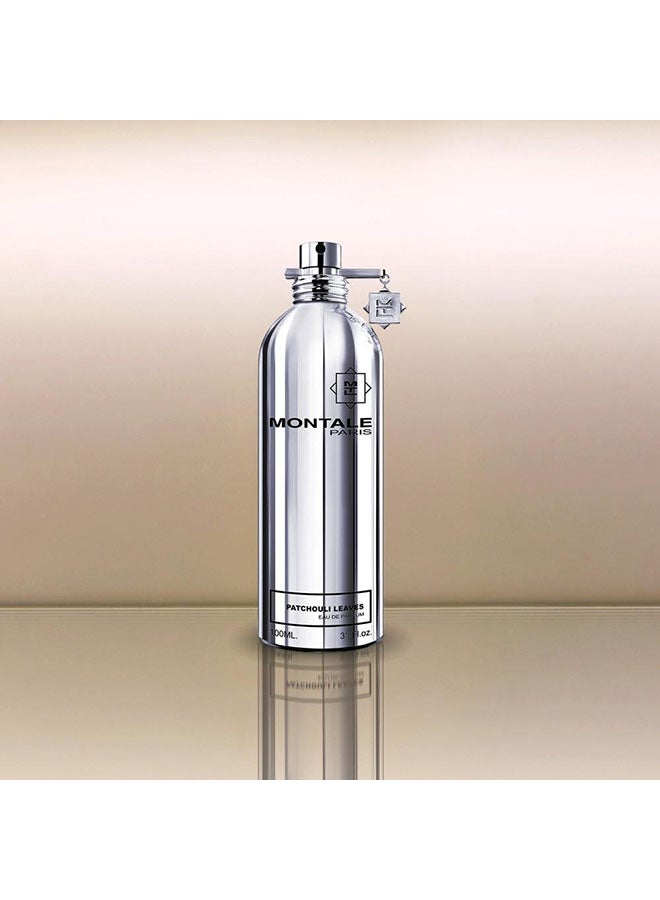 MONTALE - Patchouli Leaves EDP 100ml - Image 1