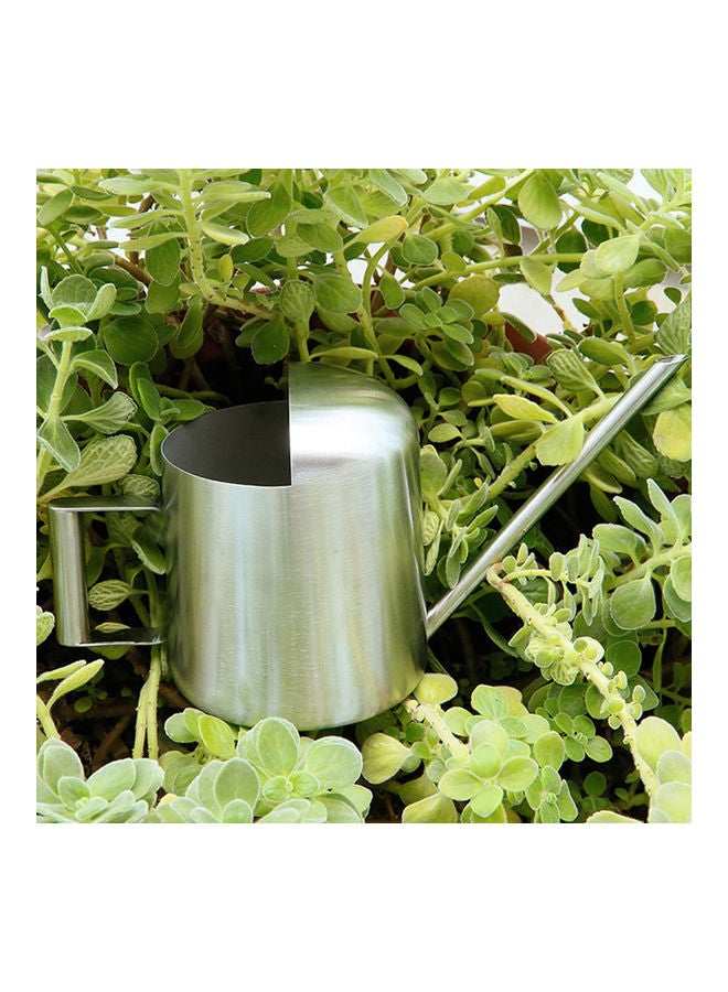 Generic Watering Can Kettle Silver 300ml  - Image 3