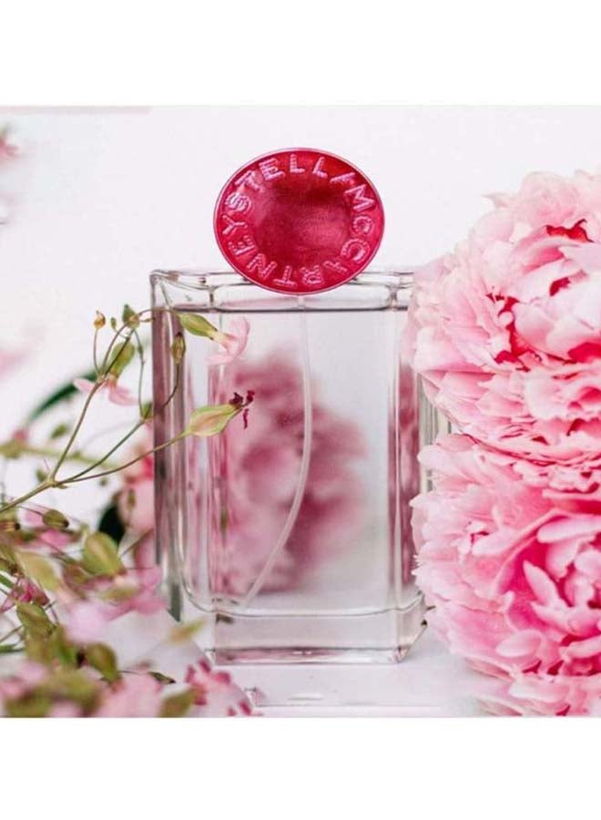 ستيلا مكارتني ماء عطر بوب 50ملليلتر - Image 5