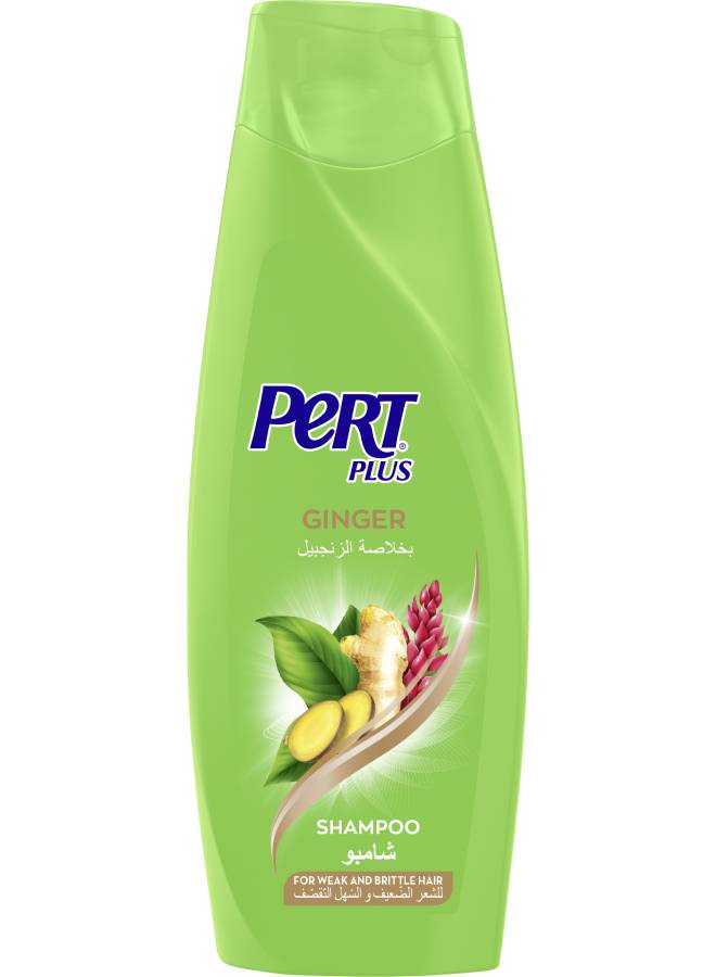 Shampoo With Ginger For Hair Loss Green 400ml - v1617716400/N45727467A_1