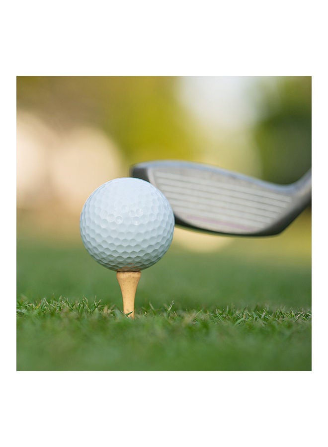 حامل لكرات الجولف مزود بكرتين و3 حوامل لإصلاح كرة الجولف - Image 4