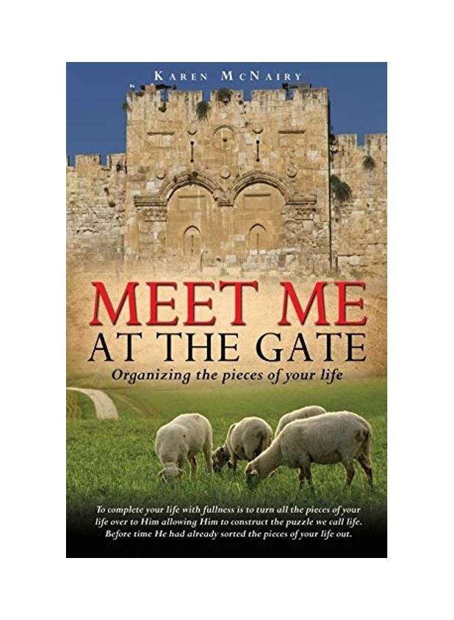 Meet Me At The Gate paperback english 