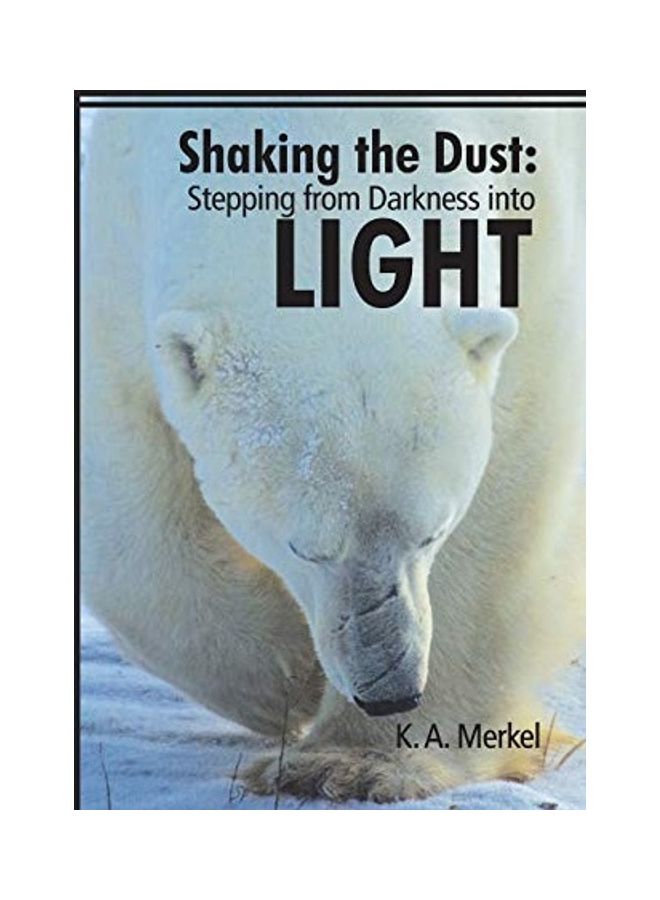 Shaking The Dust Stepping From Darkness Into Light Paperback English by K.A. Merkel 