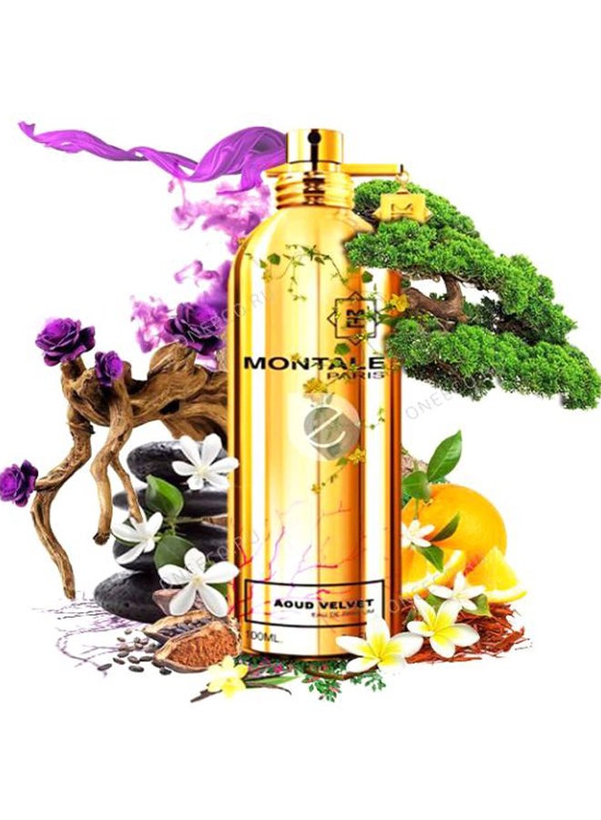 MONTALE Aoud Velvet EDP 100ml - Image 4