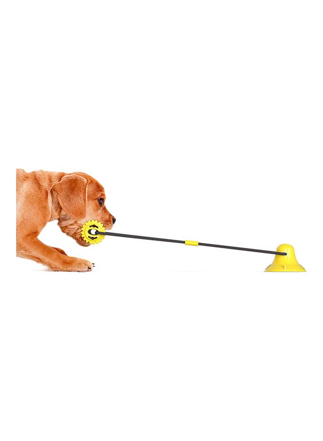 Chew Suction Cup Pet Sucker Molar Yellow