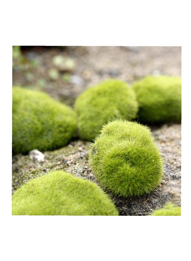 XiuWoo - Pack Of Artificial Moss Stones Green - Image 1