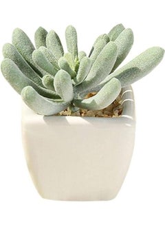 شو وو نبات عصاري اصطناعي في أصيص أخضر/أبيض  - Image 1
