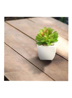 شو وو نبات عصاري اصطناعي في أصيص أخضر/أبيض  - Image 2