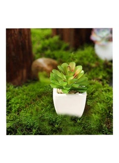 شو وو نبات عصاري اصطناعي في أصيص أخضر/أبيض  - Image 4