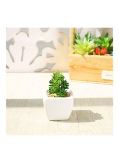 شو وو نبات عصاري اصطناعي في أصيص أخضر/أبيض  - Image 3