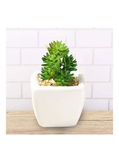 شو وو نبات عصاري اصطناعي في أصيص أخضر/أبيض  - Image 4