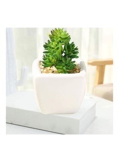 شو وو نبات عصاري اصطناعي في أصيص أخضر/أبيض  - Image 5