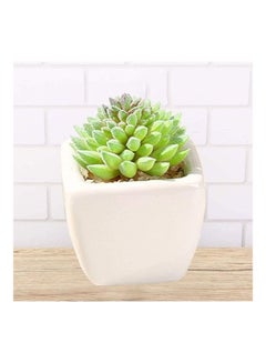 شو وو نبات عصاري اصطناعي في أصيص أخضر/أبيض  - Image 1