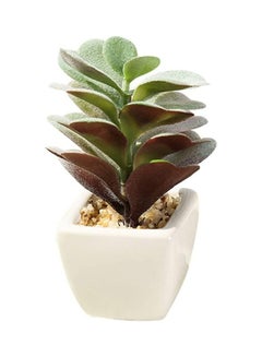 شو وو نبات عصاري اصطناعي في أصيص أخضر/ بني/ أبيض  - Image 1
