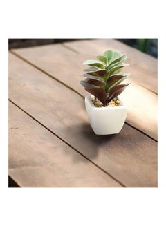 شو وو نبات عصاري اصطناعي في أصيص أخضر/ بني/ أبيض  - Image 2