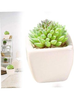شو وو نبات عصاري اصطناعي في أصيص أخضر/أبيض  - Image 4