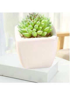 شو وو نبات عصاري اصطناعي في أصيص أخضر/أبيض  - Image 5