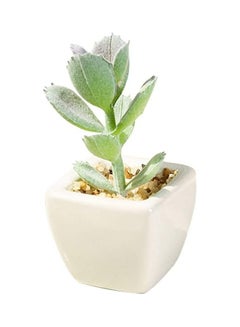 شو وو نبات عصاري اصطناعي في أصيص أخضر/أبيض  - Image 1