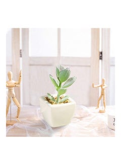 شو وو نبات عصاري اصطناعي في أصيص أخضر/أبيض  - Image 3
