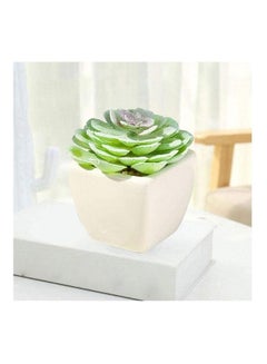 شو وو نبات عصاري اصطناعي في أصيص أخضر/أبيض  - Image 5