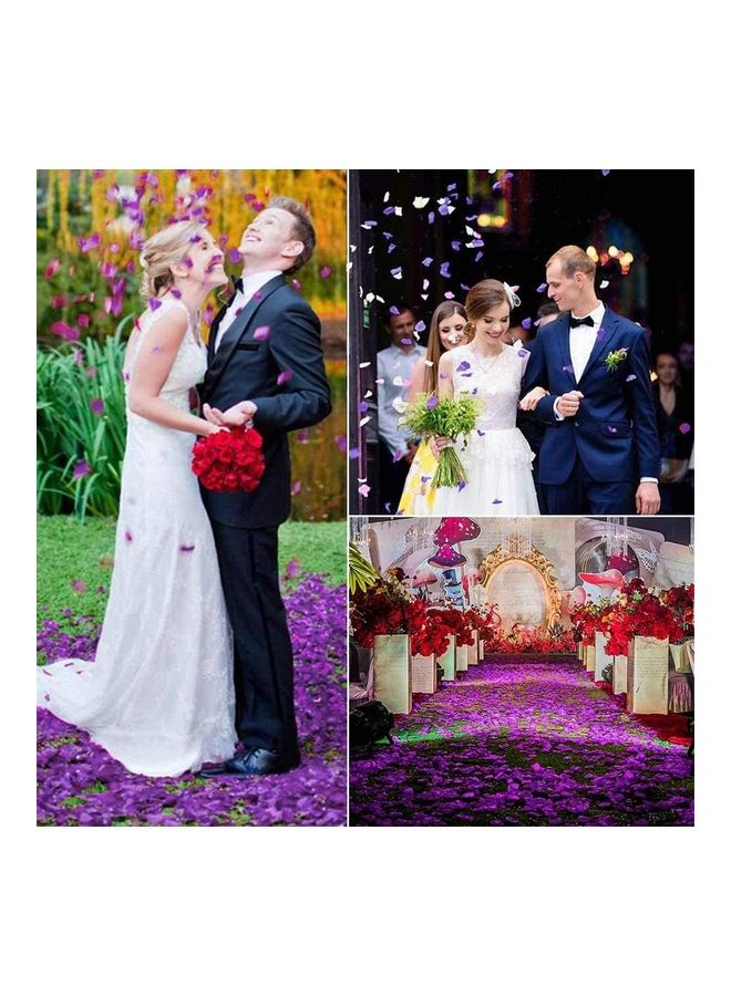 XiuWoo 1000-Piece Artificial Rose Petals Purple - Image 3