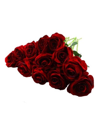 12 -Piece Artificial Long Stem Rose Red/Green
