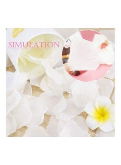 XiuWoo 1000 Pcs Artificial Silk Rose Petals White  - Image 4