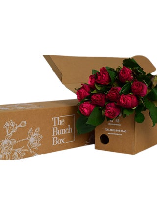 Rose Tacazzi Multicolour 60x25x25cm - v1618137664/N46370253A_1