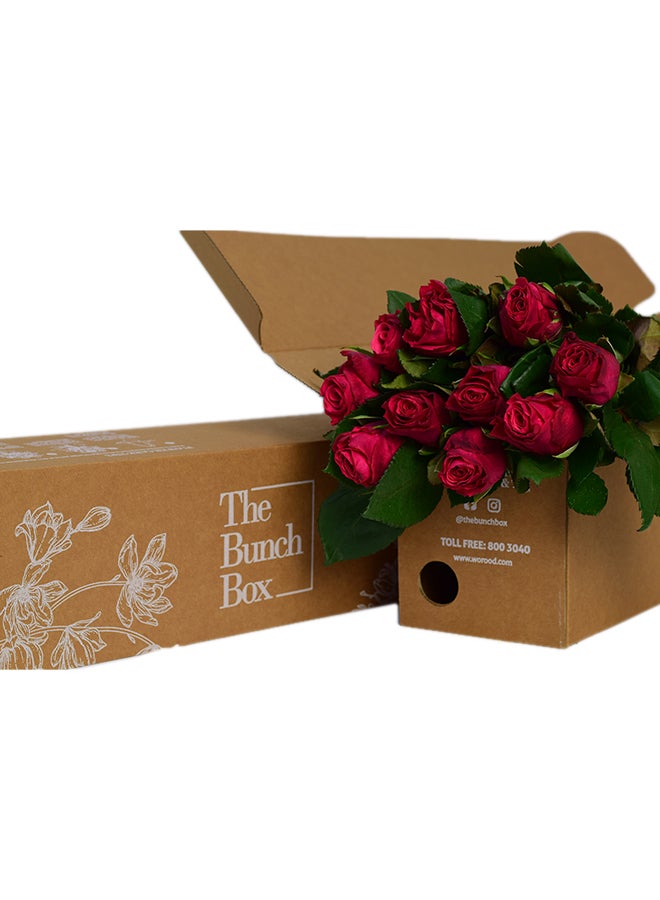 Rose Tacazzi Multicolour 60x25x25cm