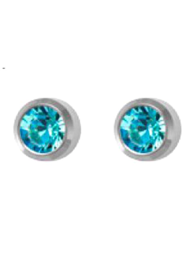 MediSystem Stainless Steel Swarovski Earrings  - Image 1