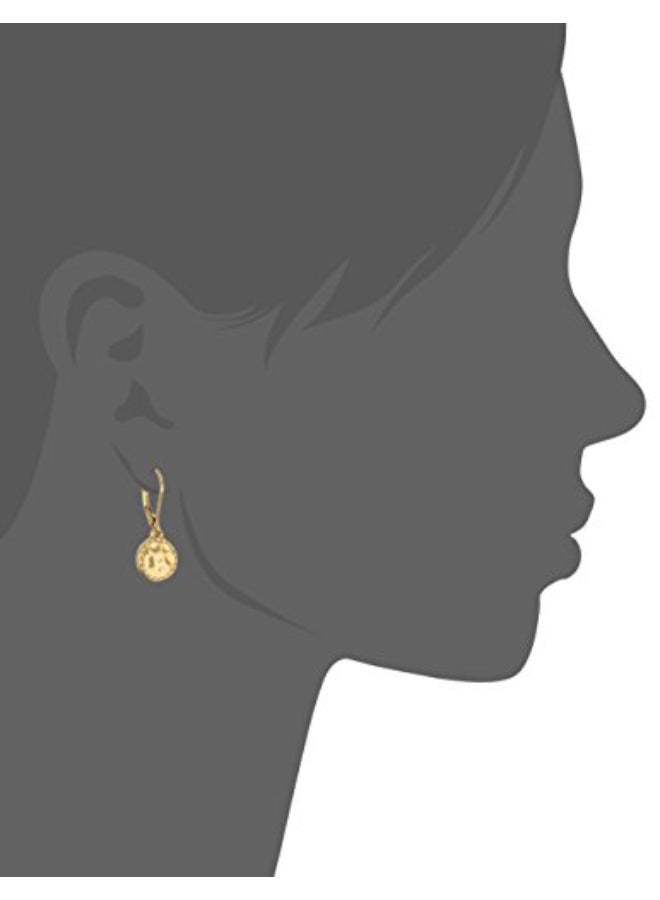 Napier Disk Drop Earrings - Image 2
