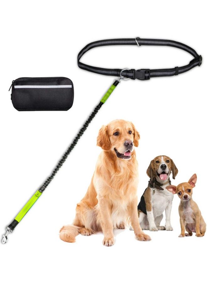 Generic 2-Piece Hands-Free Leash With Removable Zipper Pouch Black/Blue 25x8x8cm  - Image 4