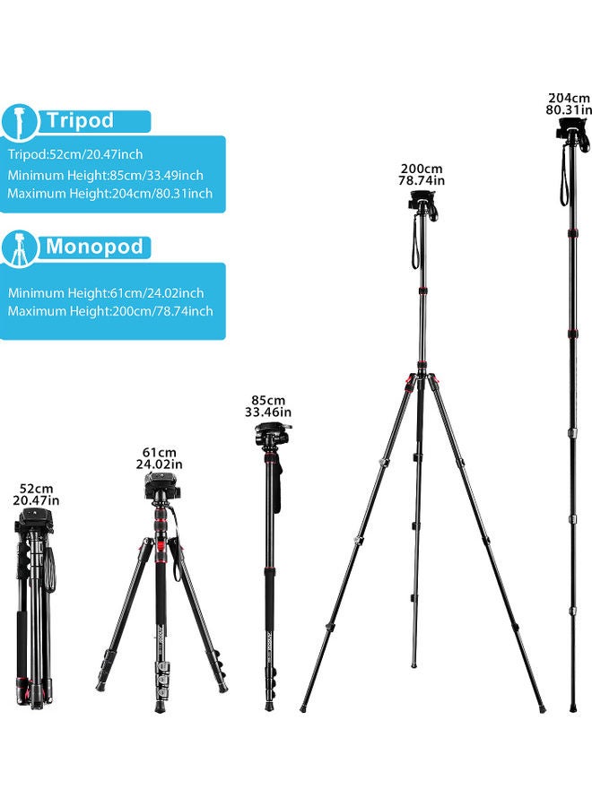 ANDOER Photography Tripod Monopod Stand Black  - Image 2
