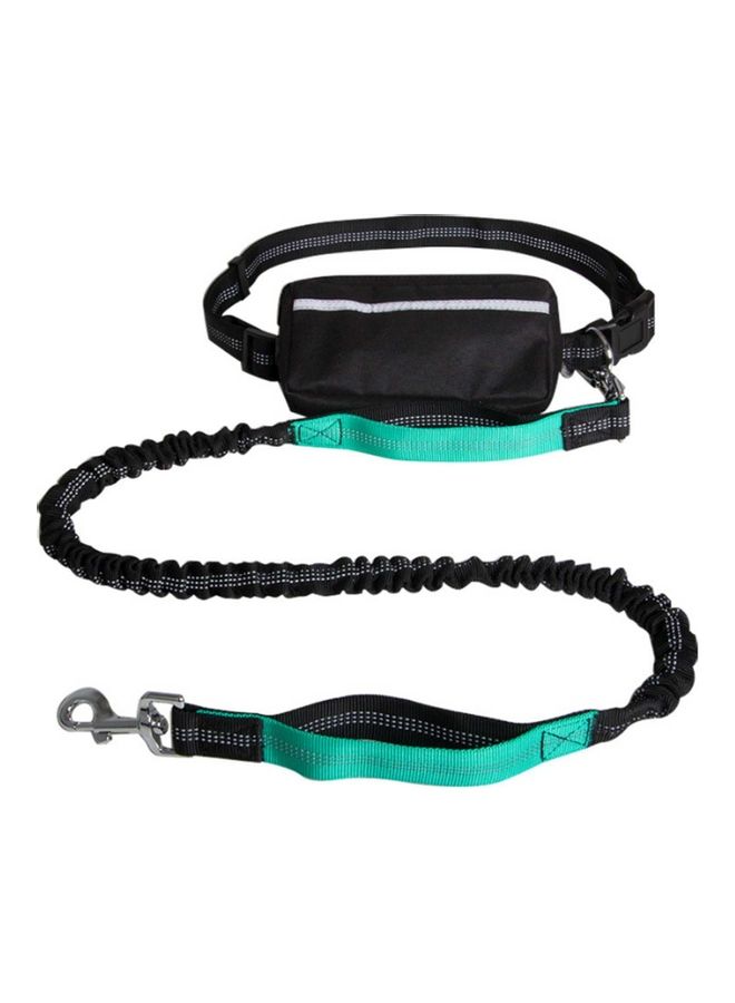 Generic 2-Piece Hands-Free Leash With Removable Zipper Pouch Black/Green 25x8x8cm  - Image 1
