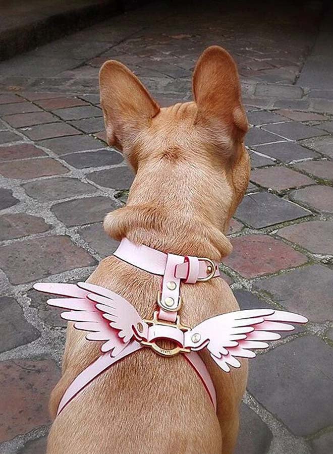 طقم حزام ورسن للكلاب وردي 26.8بوصة - Image 2