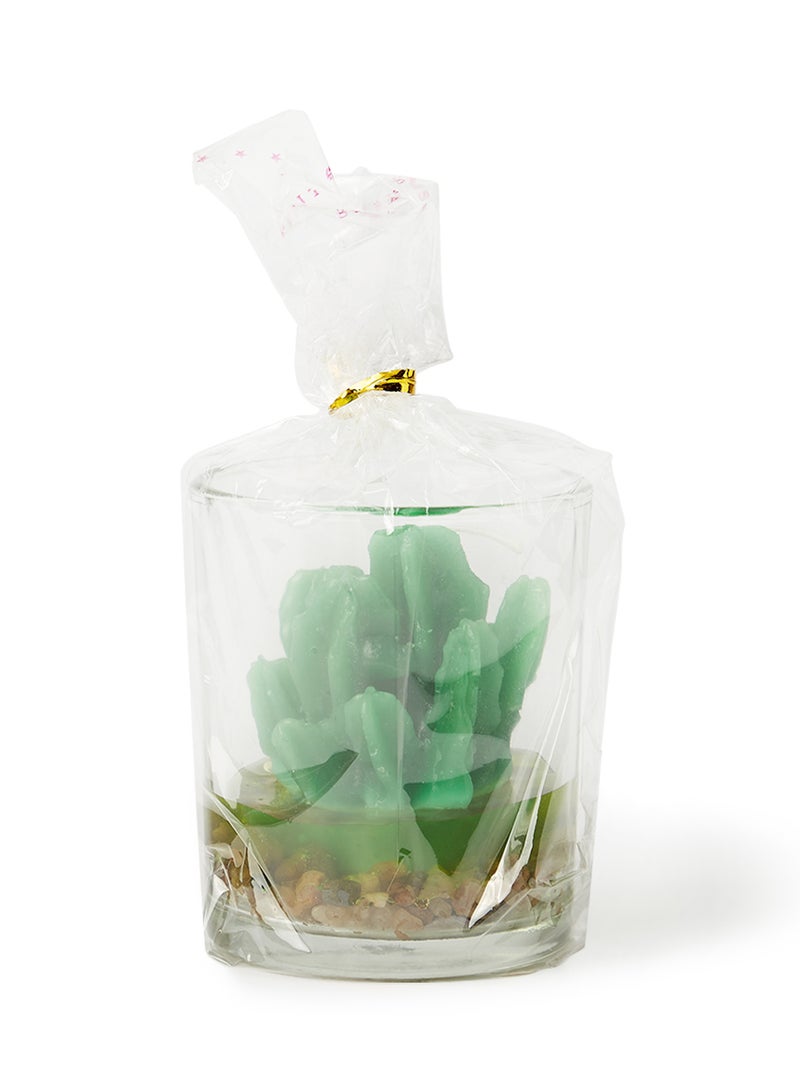 بابازام شمعة معطرة على شكل مرطبان صبار كهدية أخضر 7.5x6سم  - Image 1