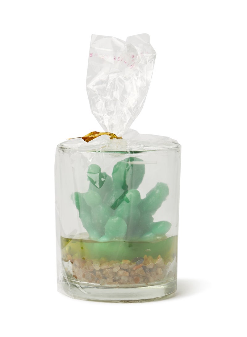 بابازام شمعة معطرة على شكل مرطبان بالصبار تصلح كهدية أخضر 7.5x6سم  - Image 1
