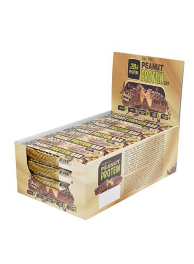 Laperva Peanut Protien 