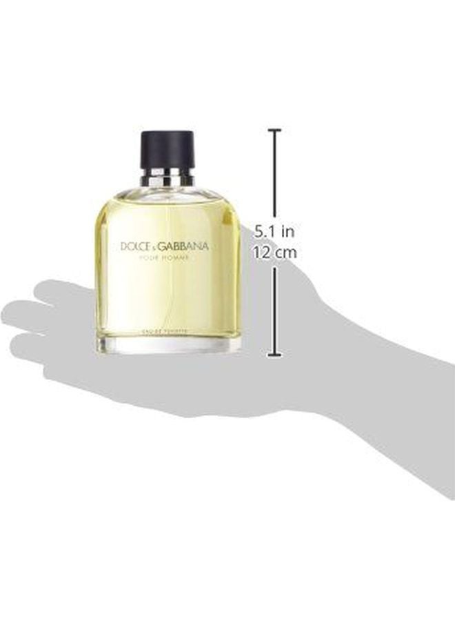 Dolce & Gabbana - Dolce And Gabbana EDT 200ml - Image 1