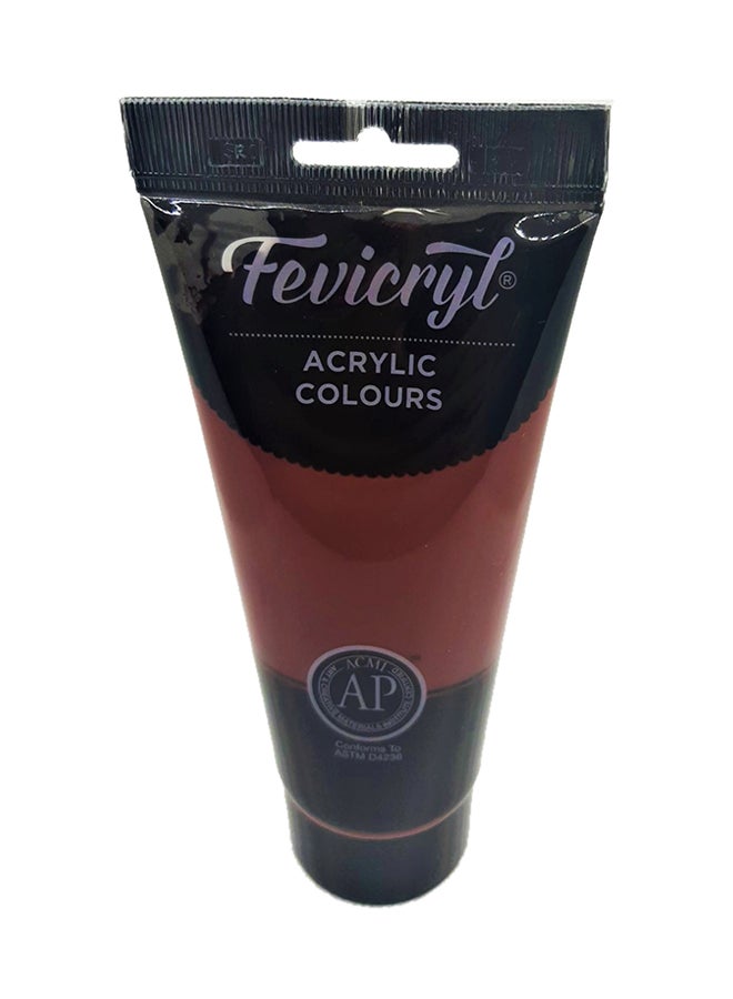Fevicryl Acrylic Colour 200ml Burnt Umber - Image 1