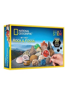 Rock And Fossil Collector's Kit