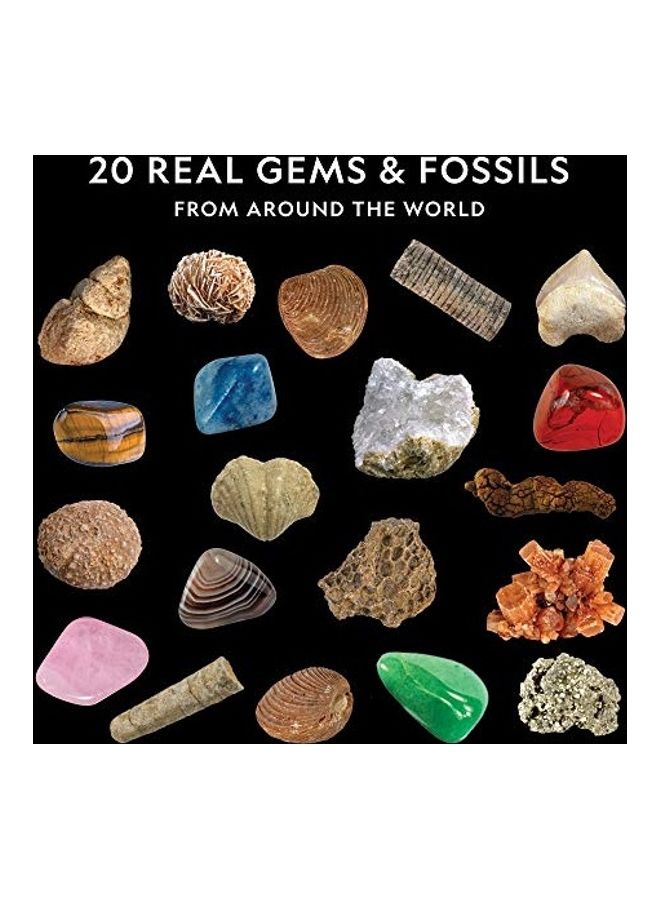 NATIONAL GEOGRAPHIC - Rock And Fossil Collector's Kit - Image 1