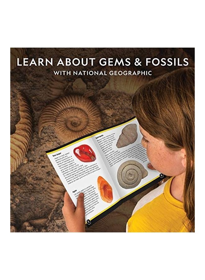 NATIONAL GEOGRAPHIC - Rock And Fossil Collector's Kit - Image 1