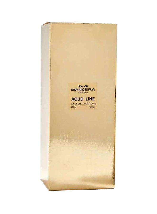 Mancera Aoud Line EDP 120ml - Image 3