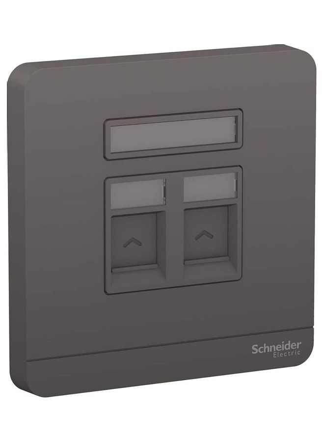 Schneider Electric Avtar On Gang Keystone Jack Wall Plate Grey