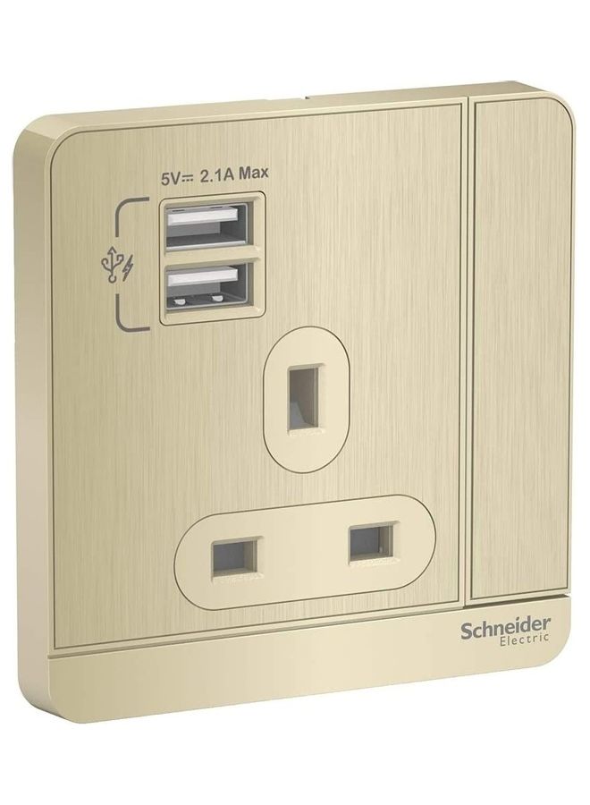 شنايدر مقبس بمفتاح آفاتار أون مع 2 شاحن USB ألوان متعددة