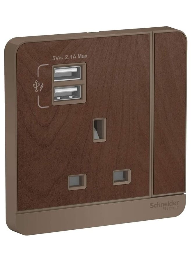 Schneider Avatar On Switched Socket With 2 USB Charger Brown