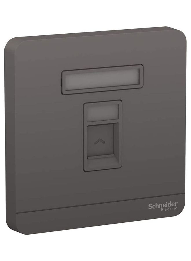 Schneider Electric Gang Keystone Jack Wall Plate Grey 